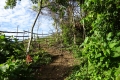 DSC04748