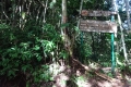 DSC04764