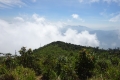 DSC04804