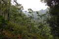 ranau-seminung-pesagi-083