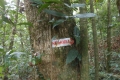 seulawah-agam-weh-062