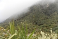 DSCN8310