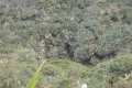 DSCN8311