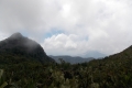 DSCN8316