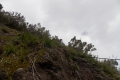 DSCN8326