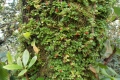DSCN8359