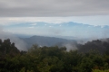 DSCN6543