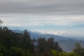 DSCN6548