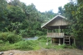 palu-006