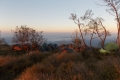DSCN1955