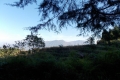 DSCN2069