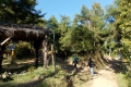 DSCN2090