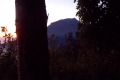 DSCN2433