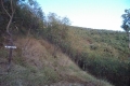 DSCN2496