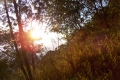 DSCN2509
