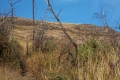 DSCN2534