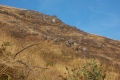 DSCN2536