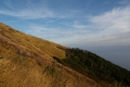 DSCN2537
