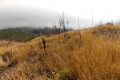 DSCN2548