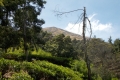 DSCN2672
