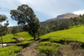 DSCN2675