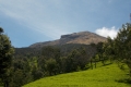 DSCN2677
