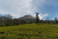 DSCN2692