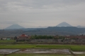 DSCN5110