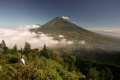 Sindoro Sindoro