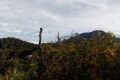 DSCN8756