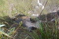 DSCN8765