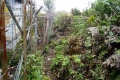 singgalangsummit