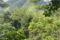14-View-to-Gunung-Delaki-during-the-ascent-of-Gunung-Legiggar-John-Hargreaves-December-2025