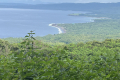 15-View-to-the-coast-on-the-ascent-of-Gunung-Legiggar-John-Hargreaves-December-2025