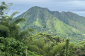 18-View-of-Gunung-Delaki-on-the-ascent-of-Gunung-Legiggar-John-Hargreaves-December-2025