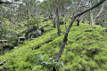 32-Gunung-Legiggar-descent-John-Hargreaves-December-2025