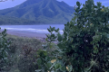 4-Gunung-Delaki-seen-from-the-coastal-approach-to-the-Gunung-Legiggar-trailhead-John-Hargreaves-December-2025