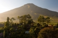 sumbing