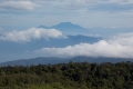 DSCN8782