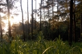DSCN9079