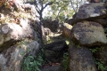 DSCN9199