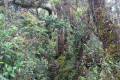 DSC01531