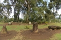 DSCN9098