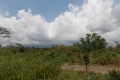 DSCN9125
