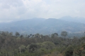 ranau-seminung-pesagi-039