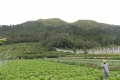 DSCN7930