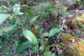DSCN8909
