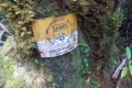DSCN8922