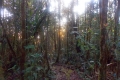 DSCN8939