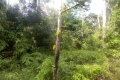 DSCN8968